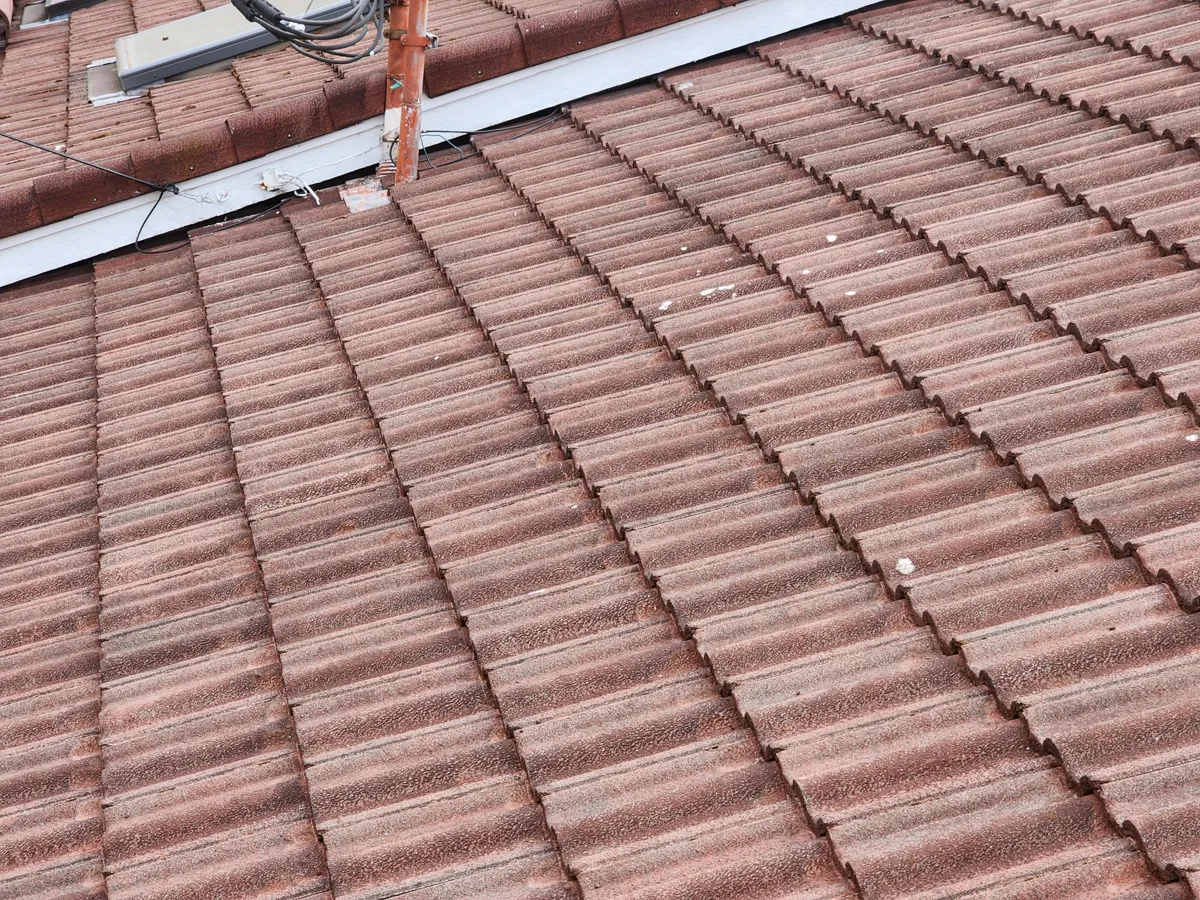 Exterior home painting service